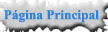 Página Principal